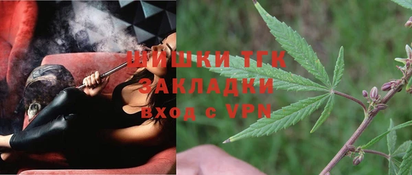 сатива Елизово
