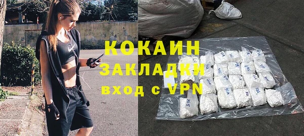 сатива Елизово