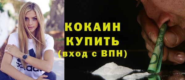 сатива Елизово