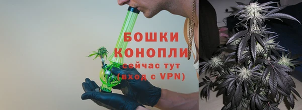 прущая мука Ельня