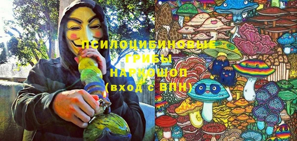 сатива Елизово