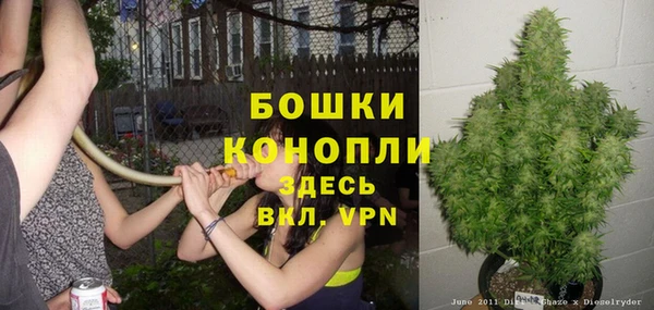 Альфа ПВП Елабуга