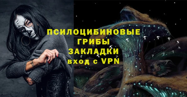 прущая мука Ельня