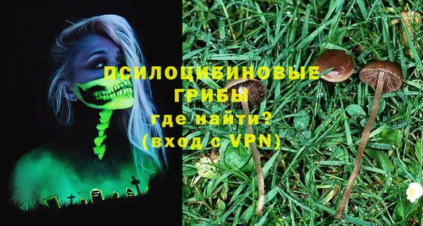 прущая мука Ельня
