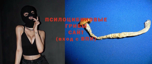 сатива Елизово