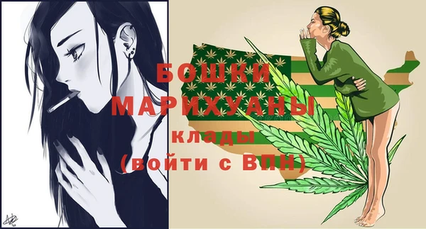 сатива Елизово