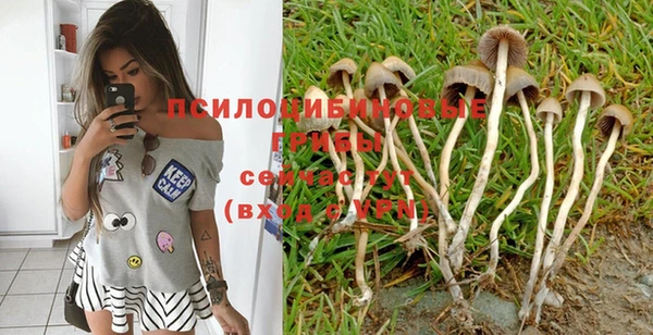 сатива Елизово