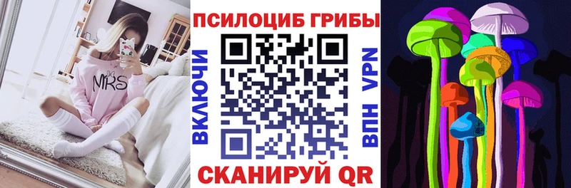 Купить закладки  Ивантеевка  Галлюциногенные грибы мицелий 